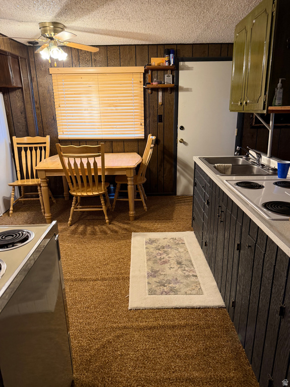 1052 MOUNT TABBY DR photo 4