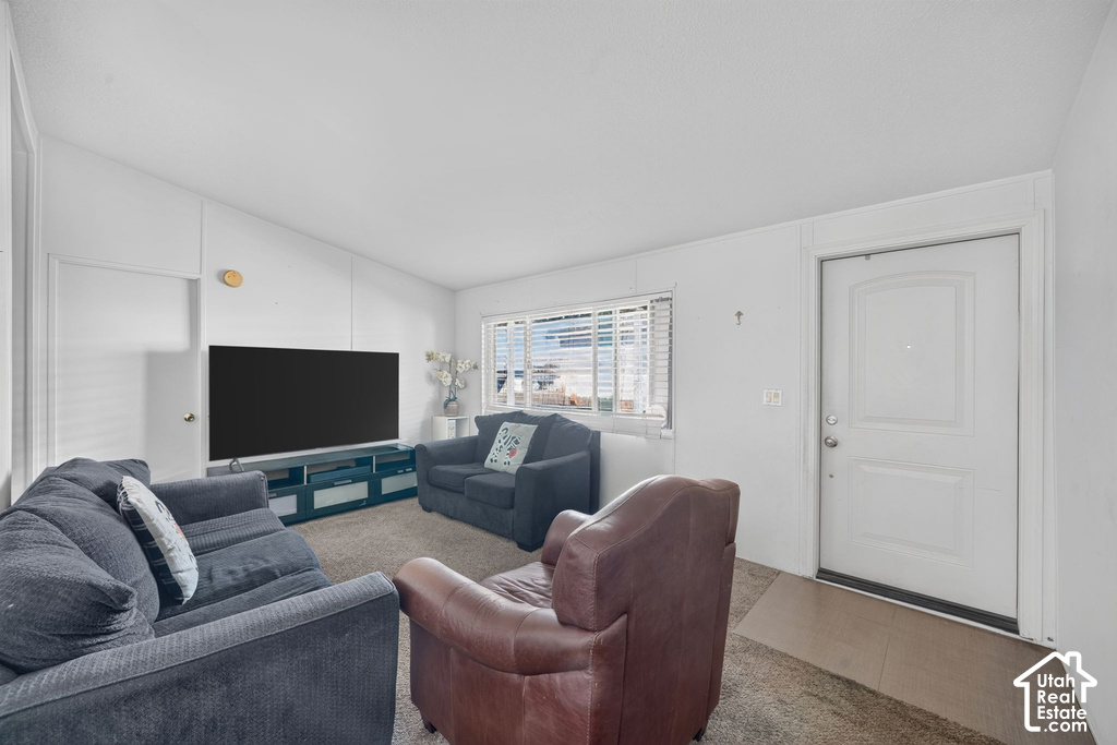 33 E TINY WOOD S DR photo 3