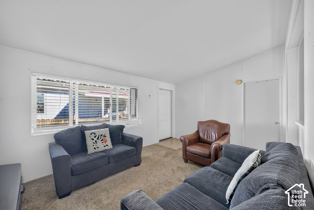 33 E TINY WOOD S DR photo 4