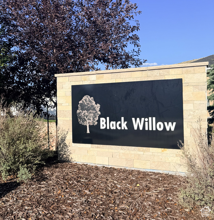 View photos for 24 E Black Willow Dr 24 E Black Willow Dr
