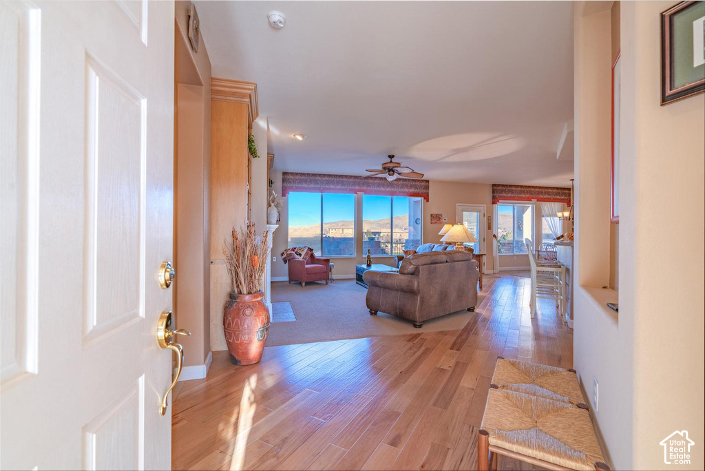 1554 W POPPY HILLS CIR photo 3