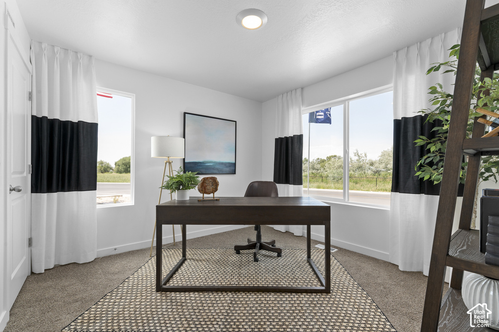 1290 N 375 E photo 3