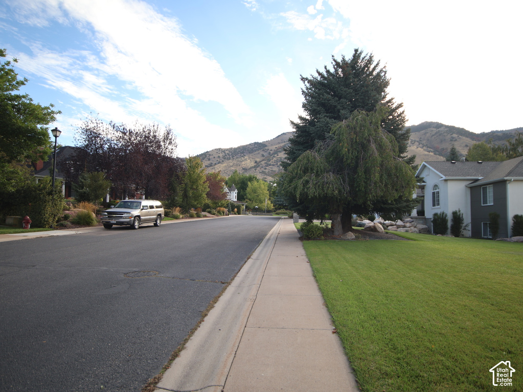 1140 WINDSOR DR photo 5