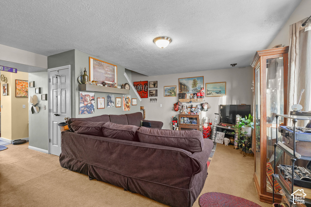 399 DOWNS DR photo 4