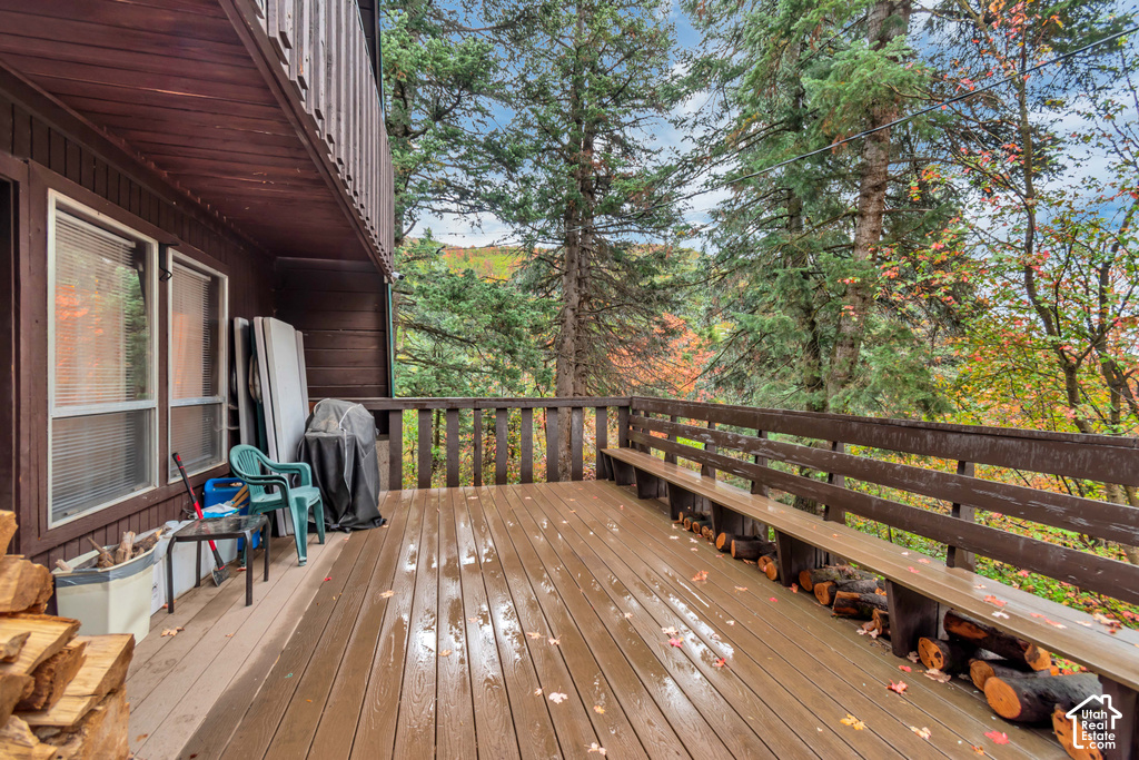 2534 W SNAKE CREEK RD photo 5