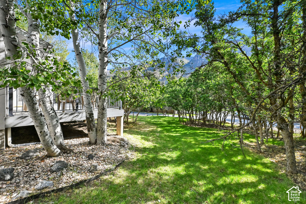 366 S SCENIC DR photo 4