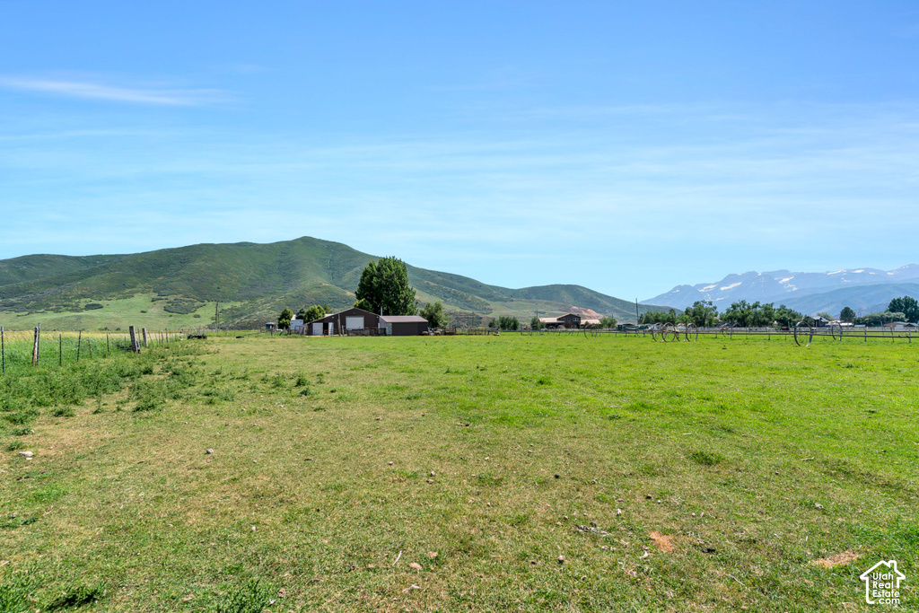 Expansive green pasture with mountain backdrop