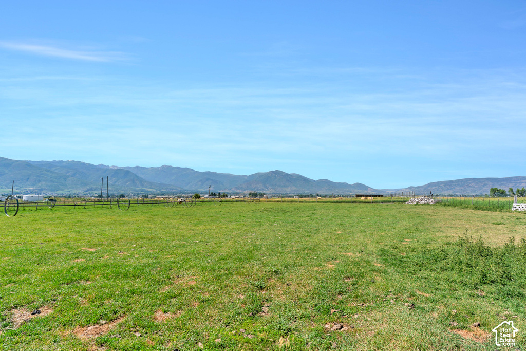 Expansive green field with distant mountain range