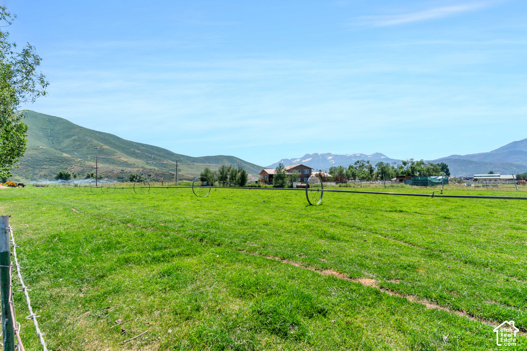 Expansive green field with mountain backdrop