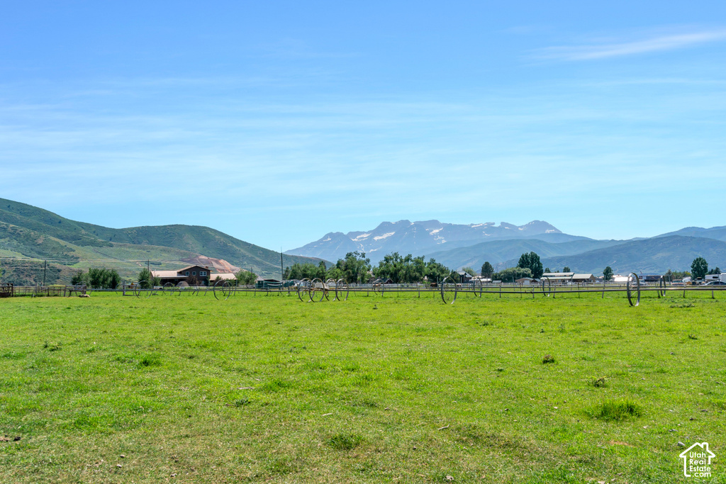 Expansive green pasture, distant mountain range, and scattered mature trees