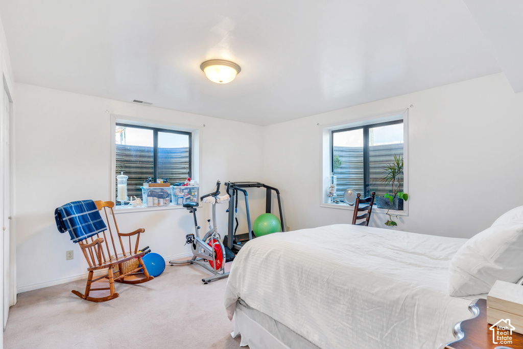 Recessed windows with window wells, flush-mount ceiling light fixture, and light-colored wall-to-wall carpeting