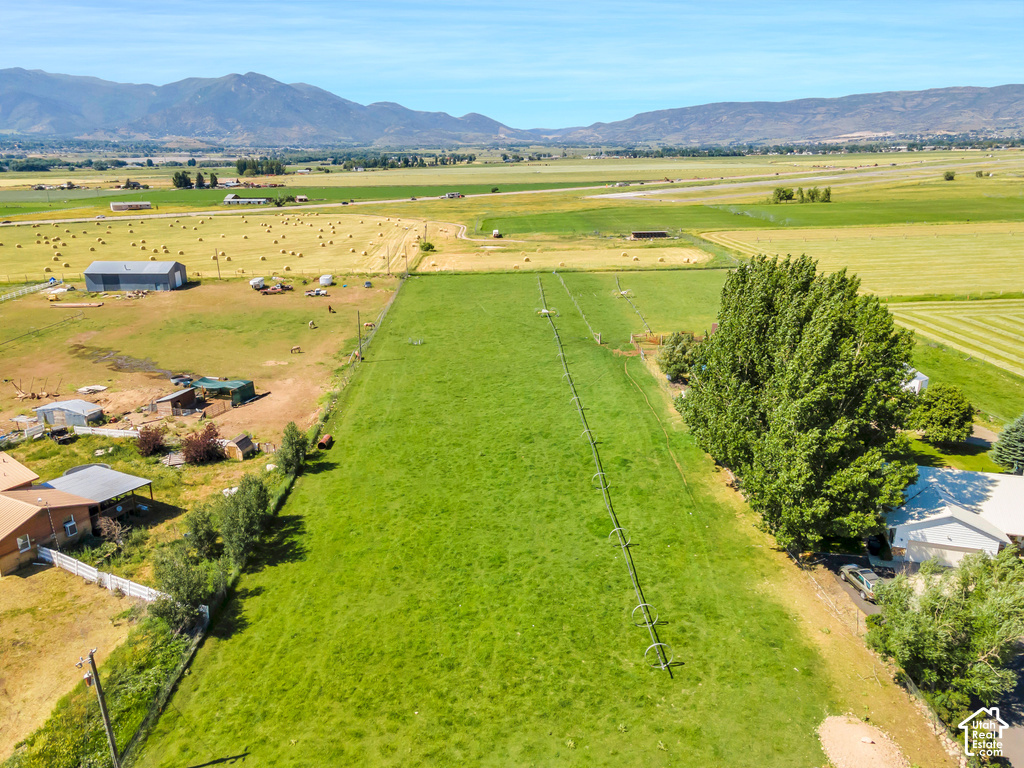 Expansive green field with established trees and irrigation system, surrounded by additional fields and distant mountains
