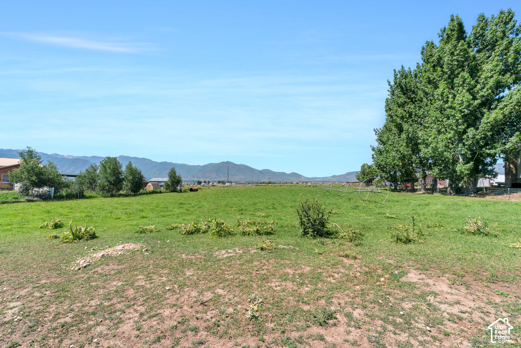 Expansive grassy field with a backdrop of distant mountains and mature trees