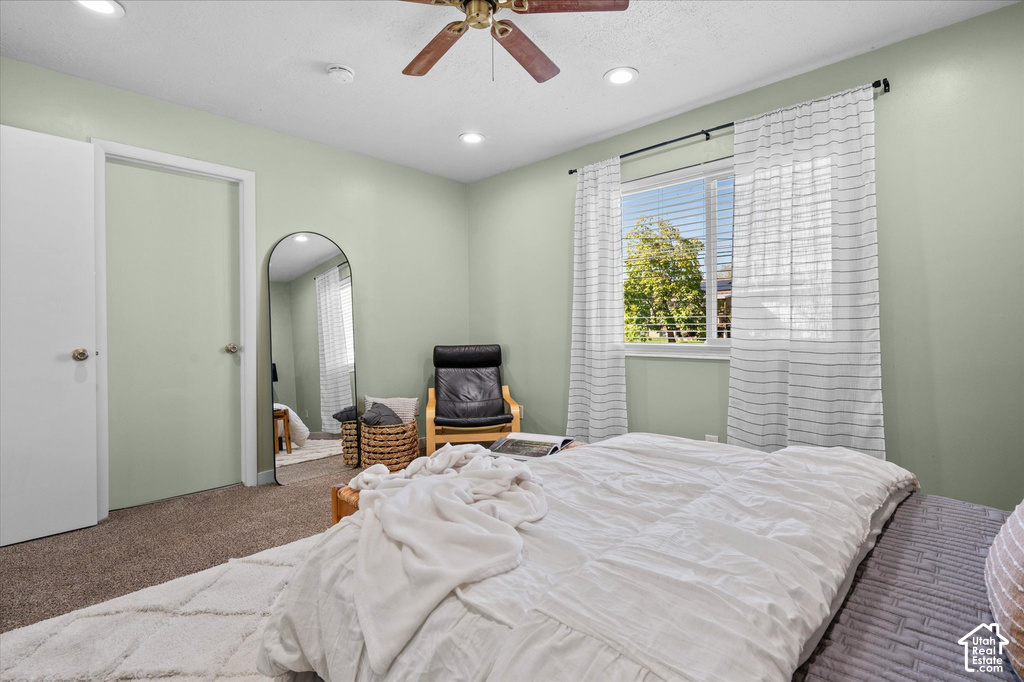 Bright secondary bedroom featuring soft sage-green walls, carpet flooring, and dual closets with white panel doors