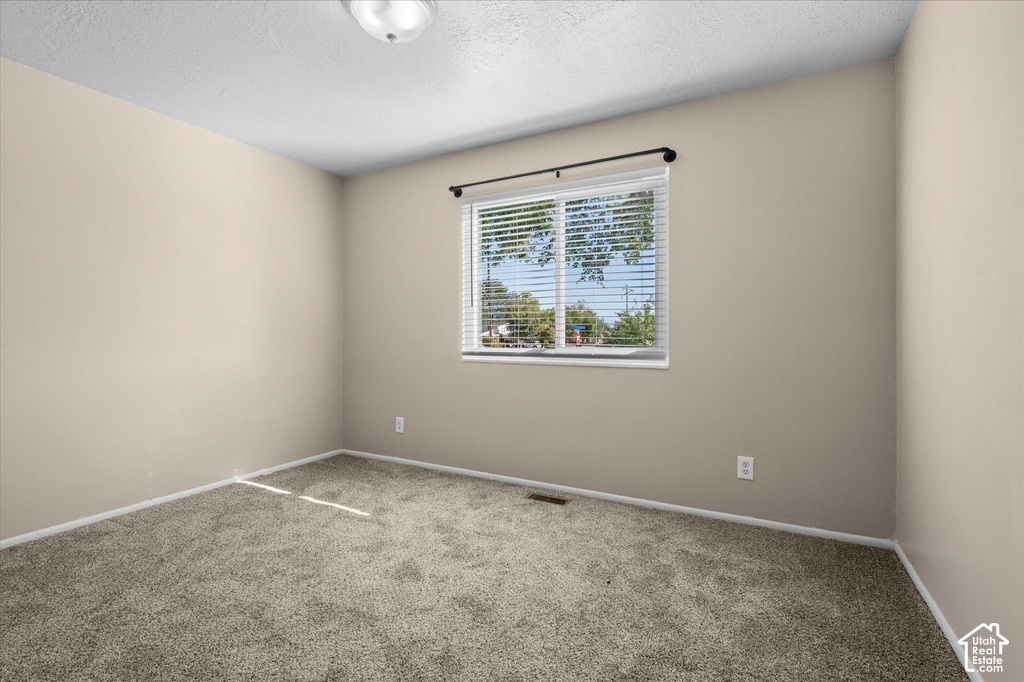 Bright secondary bedroom featuring neutral wall finishes, carpet flooring, and a large double-hung window with natural light and exterior views