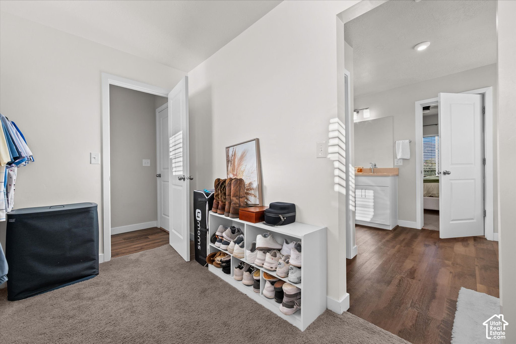 Carpeted flooring contrasting with wood-finish flooring