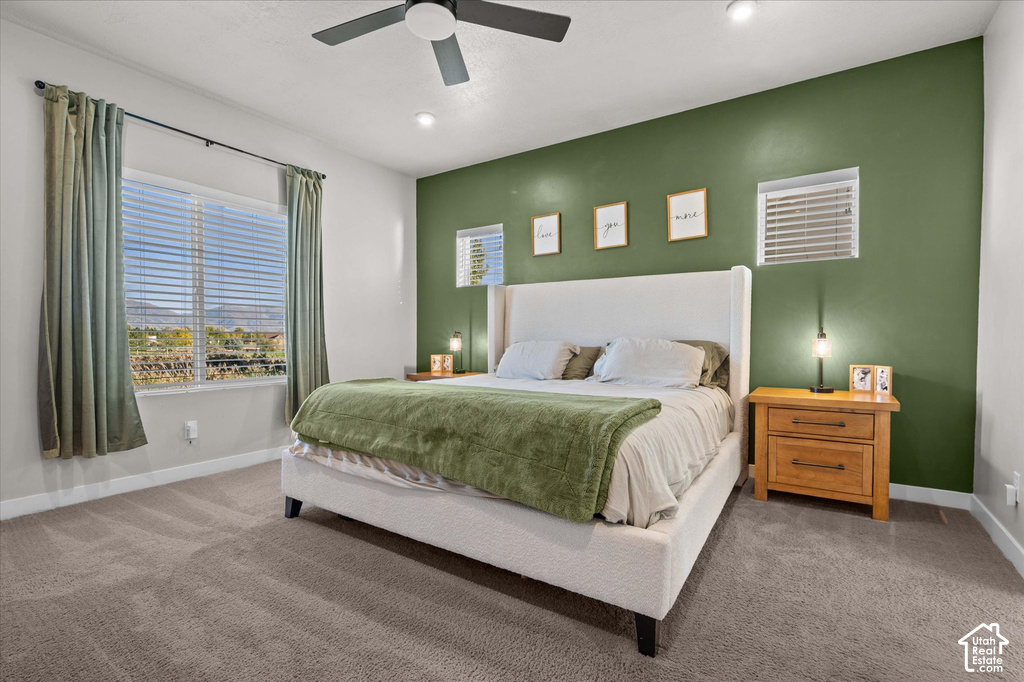Plush carpeting throughout, paired with a distinct accent wall