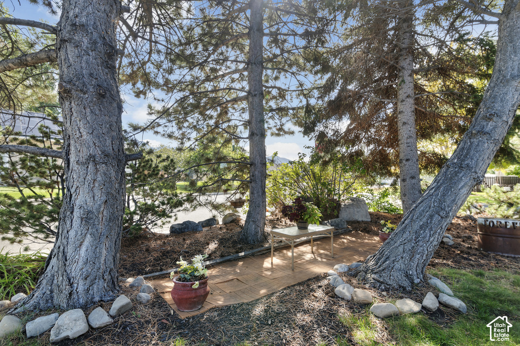 1009 N 470 W photo 5