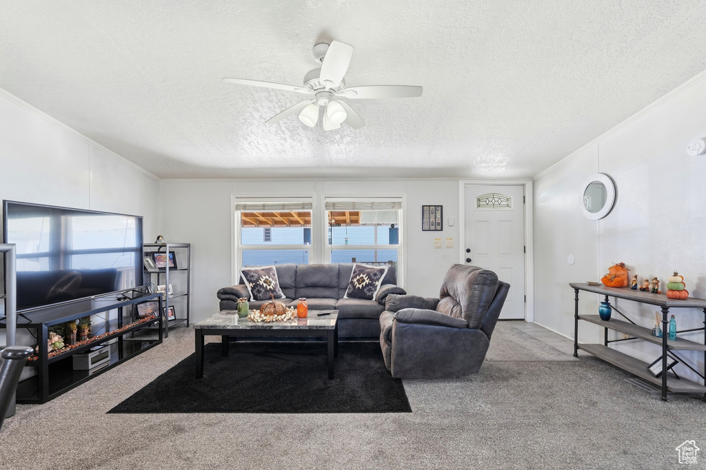 476 W 725 N photo 5
