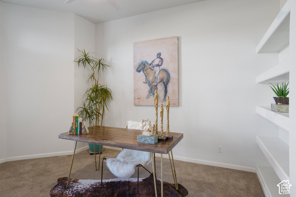 23 N SHADOW DR photo 5