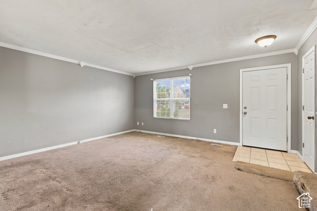 268 ALFRED DR photo 4