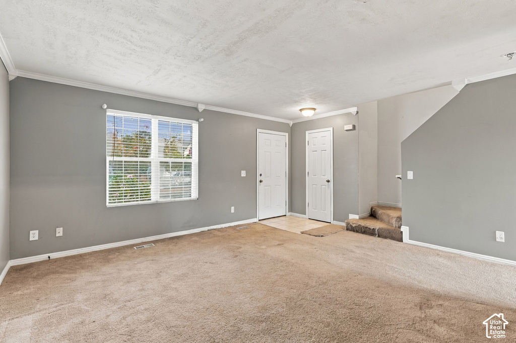 268 ALFRED DR photo 5