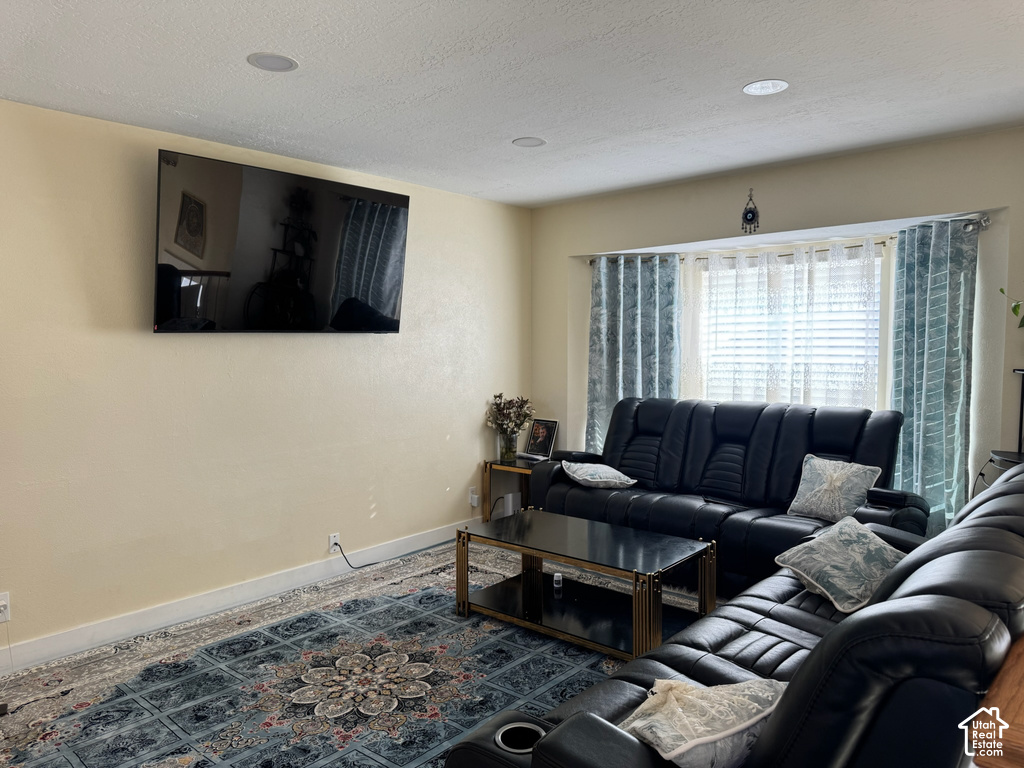 3992 W 8730 S photo 3