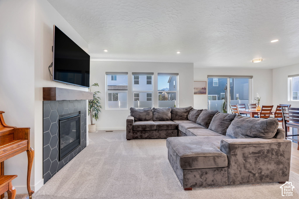 1207 E 1480 N photo 4