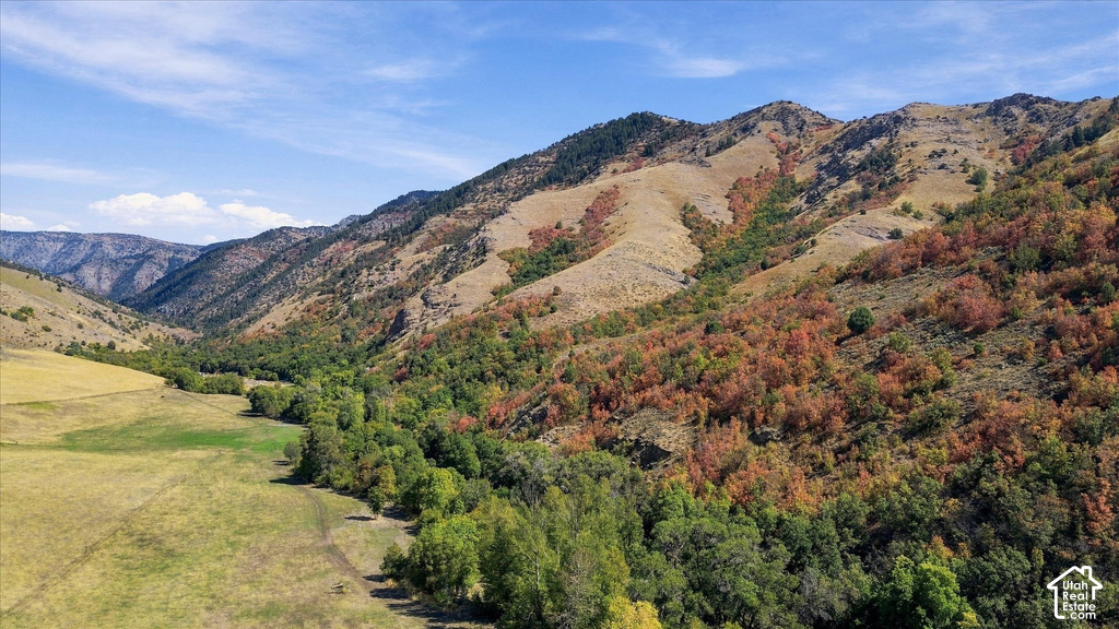 View photos for 2855 E Canyon Rd 2855 E Canyon Rd