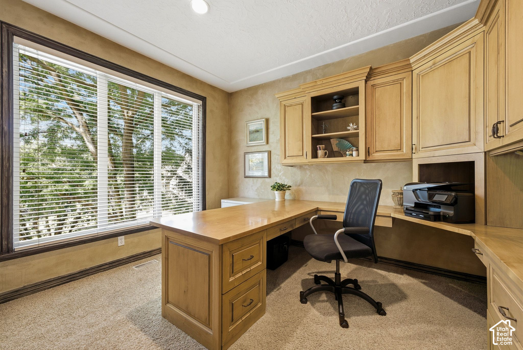 2351 E ROYAL LN photo 4