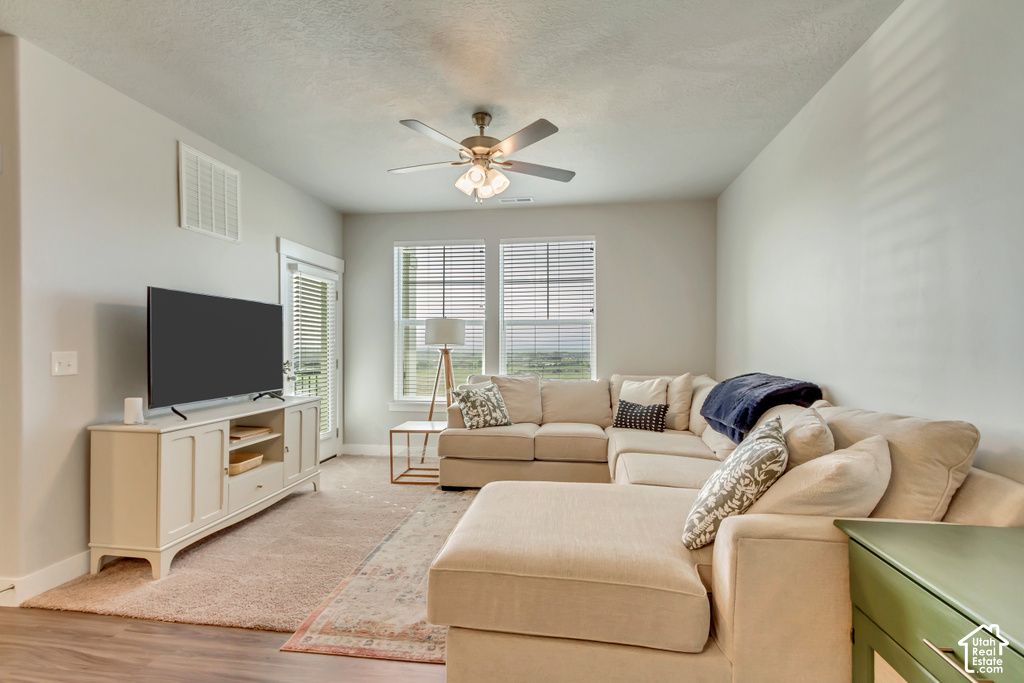 927 W CORAL CHARM WAY photo 3
