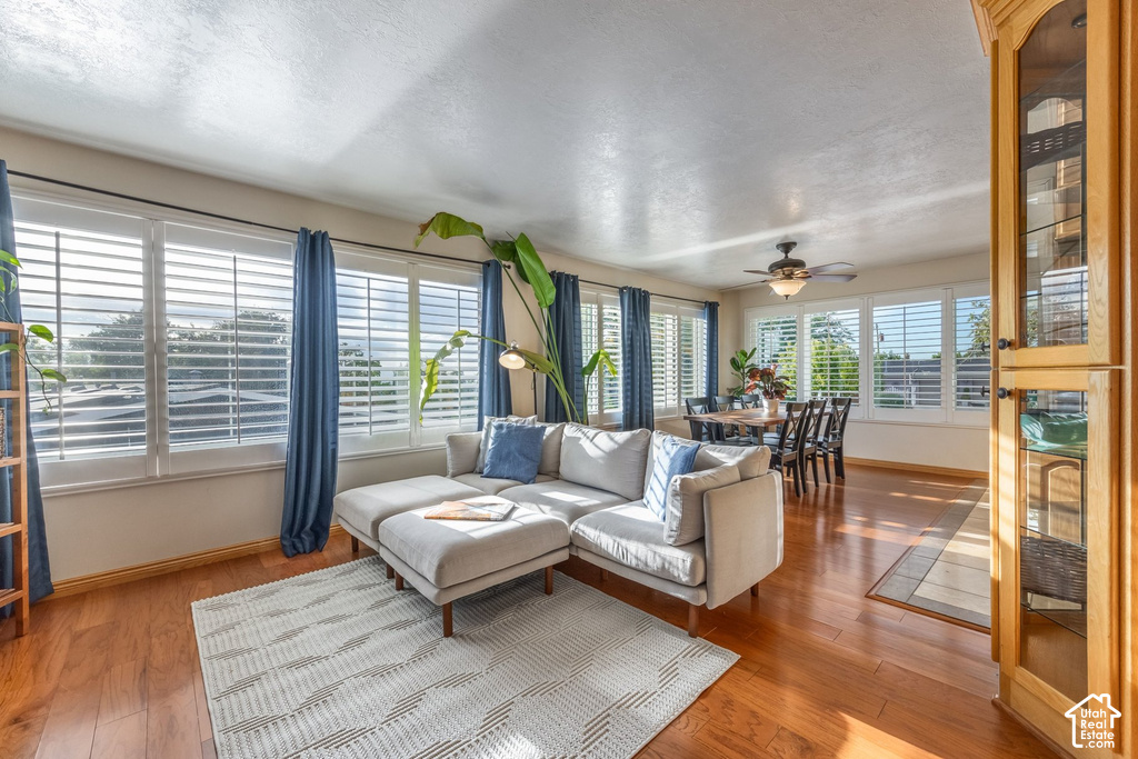 3000 E MORGAN S DR photo 5