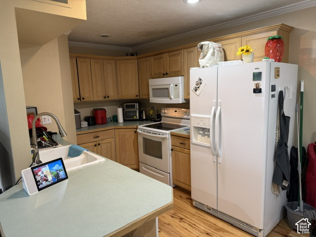 1541 N RIVERSIDE W AVE photo 3