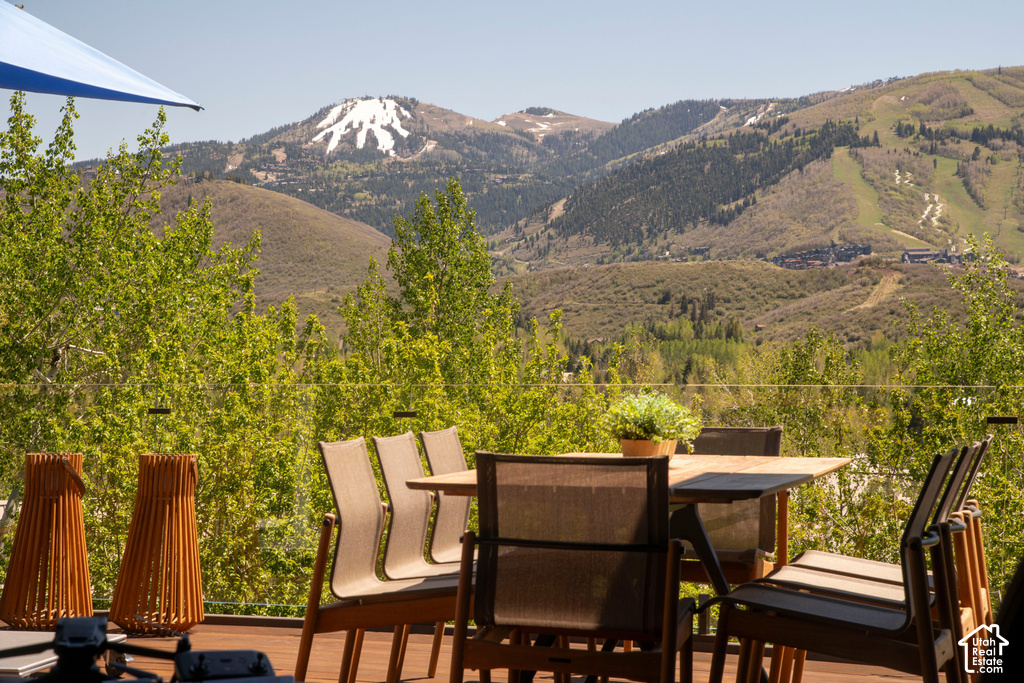 3311 AMERICAN SADDLER DR, Park City