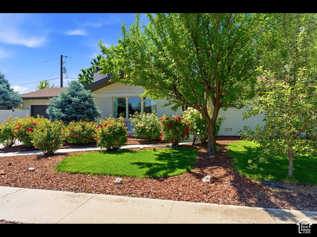 960 E SAGEHILL DR photo 5