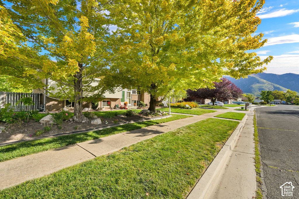 2060 E 6175 S photo 4