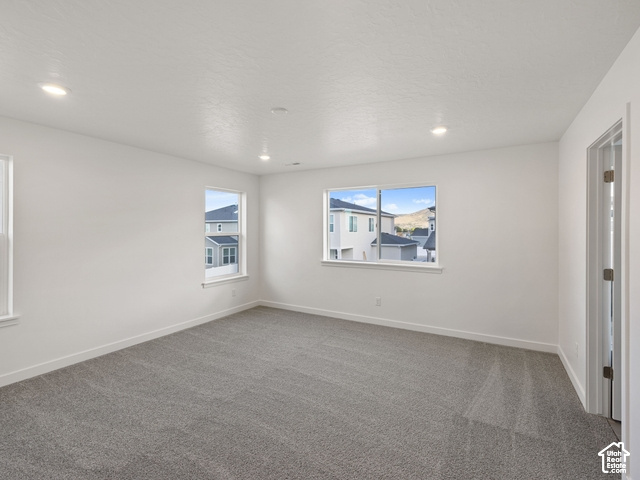 12622 S ALPINE LAKE LN photo 3