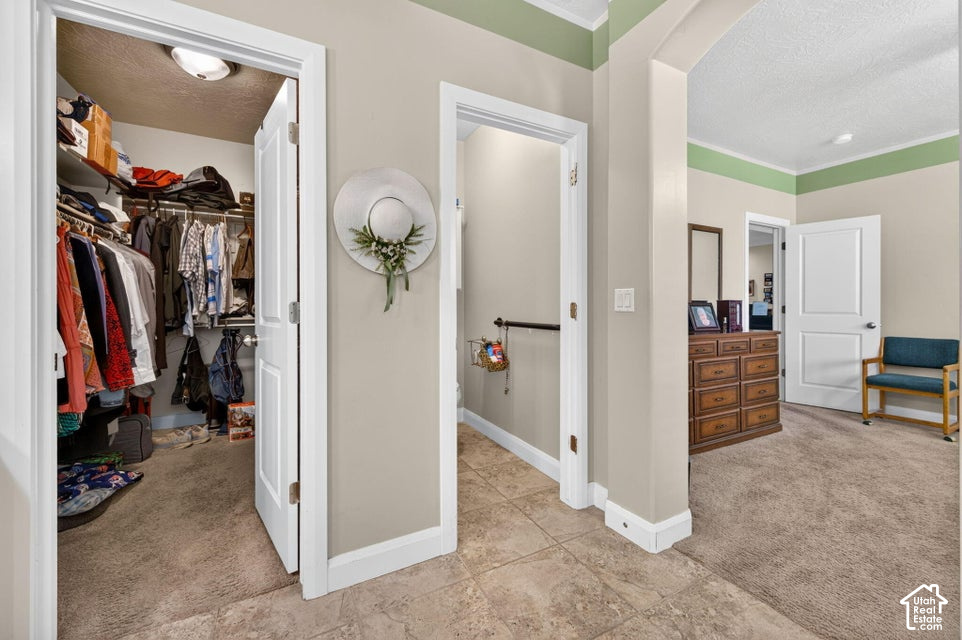 265 E MUNICH DR photo 5
