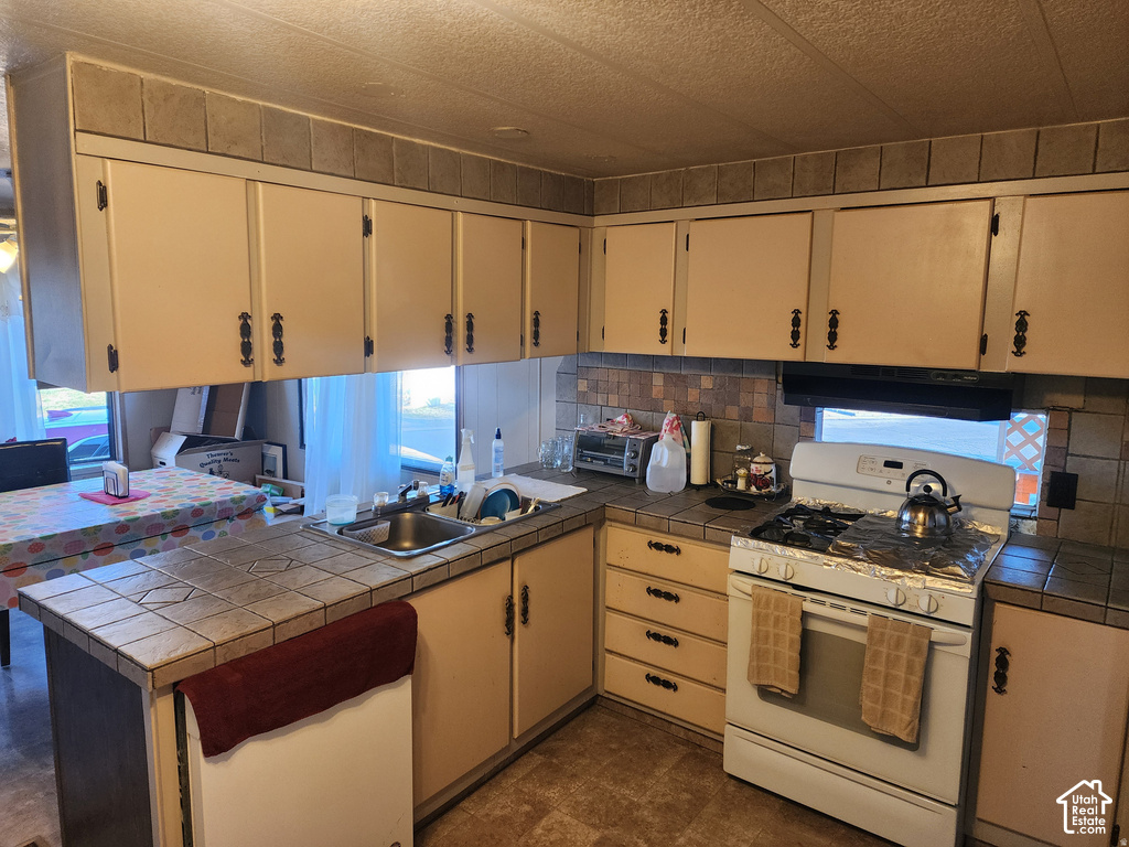 1726 W NORMAN S DR photo 5