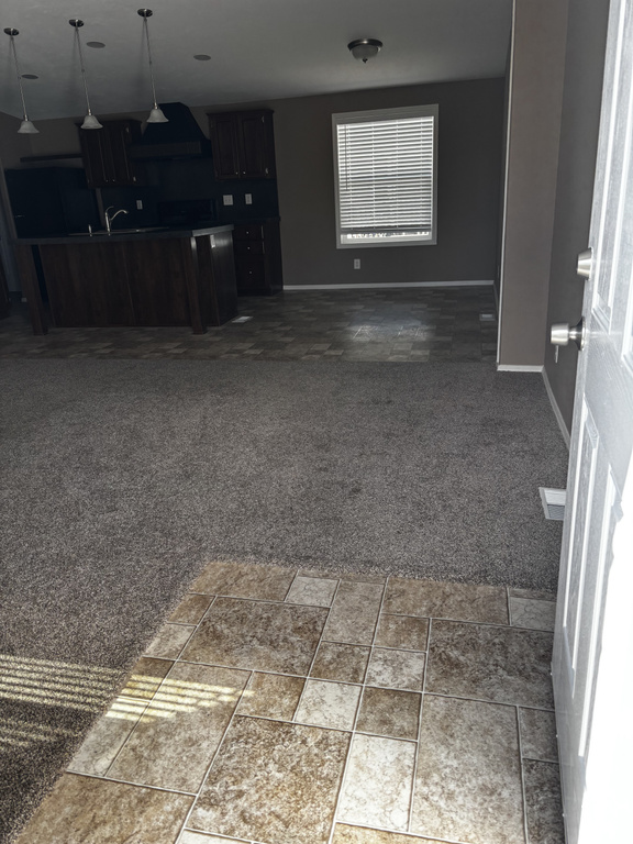 1265 N CARBONVILLE RD photo 5