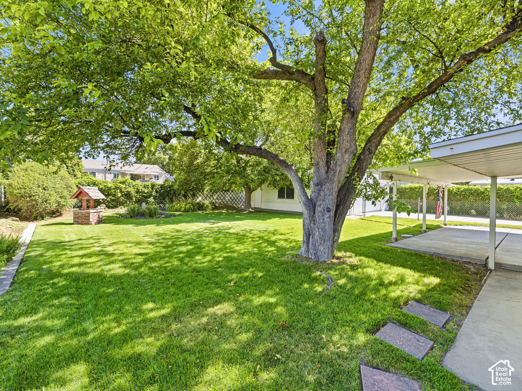1934 W LINDSAY S DR photo 5