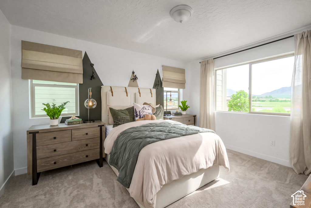 1515 S 920 W photo 4