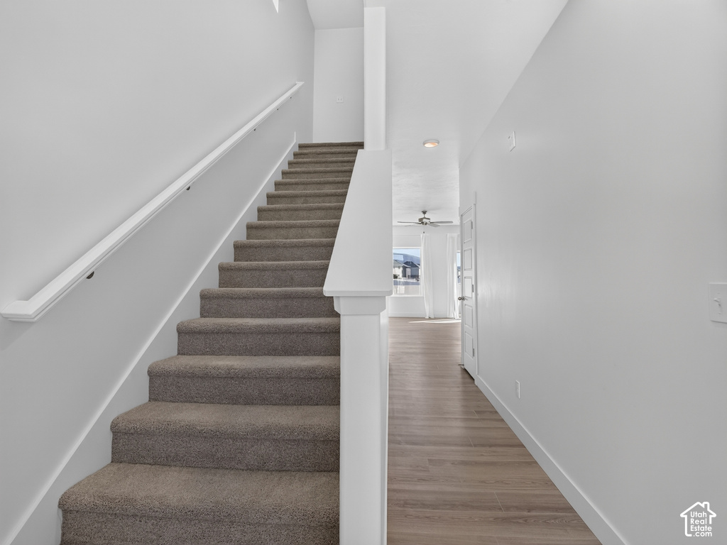 3848 N THOMAS ST photo 4