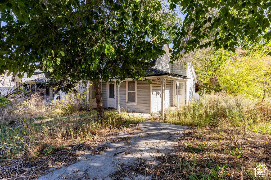 1124 PARK AVE photo 4