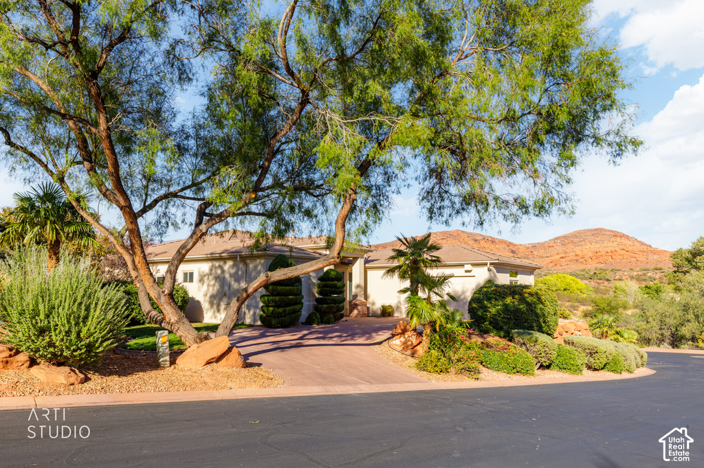 1392 W CEDAR DR photo 2
