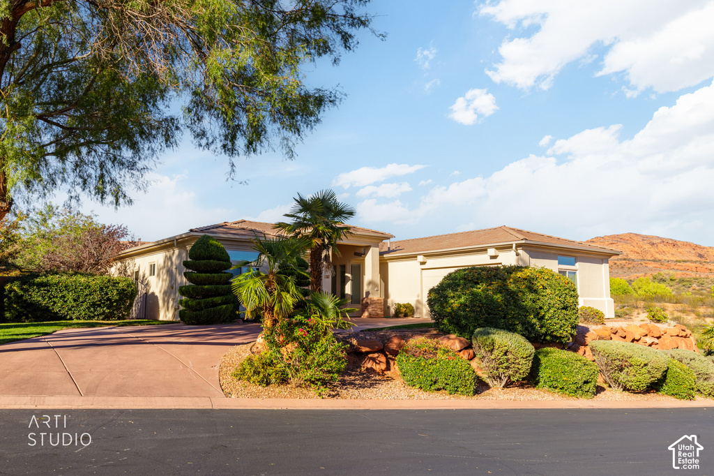 1392 W CEDAR DR photo 3