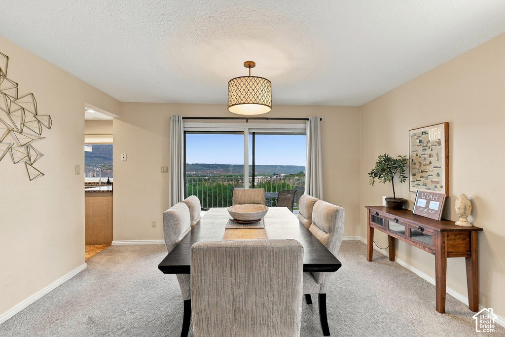 1845 W CANYON DR photo 3