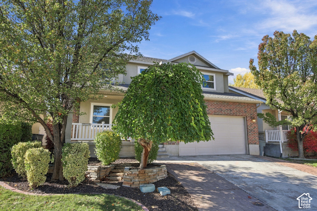 10602 S PINE GROVE WAY photo 3