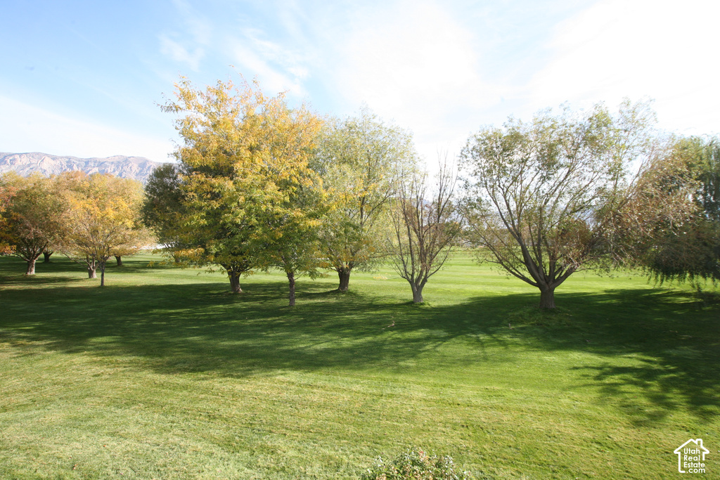3436 N 2575 W photo 4