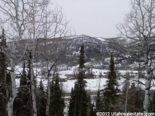 24 Uncompahgre Dr #24, Oakley, UT 84055